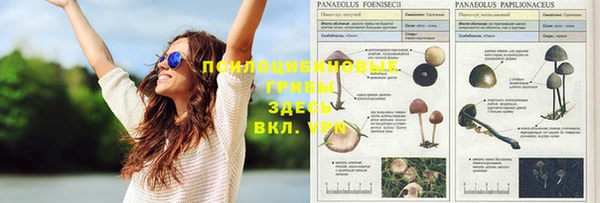 скорость Балабаново