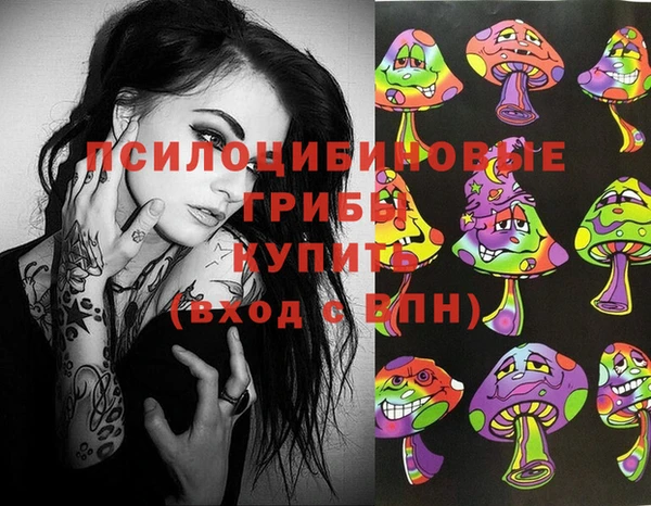 крисы Козловка