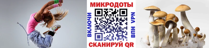 Псилоцибиновые грибы ЛСД  дарнет шоп  блэк спрут ONION  Кунгур 