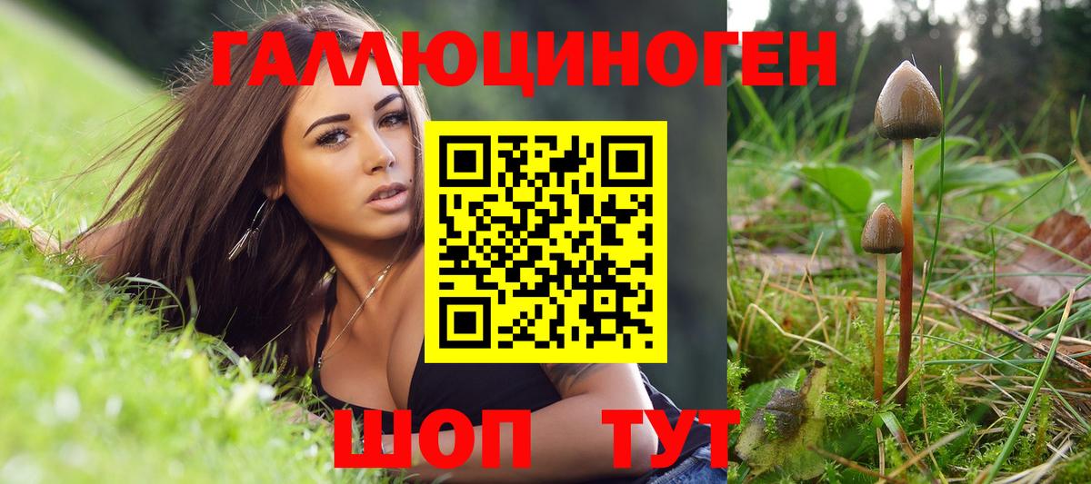 Галлюциногенные грибы GOLDEN TEACHER  Вход с VPN  Кунгур 